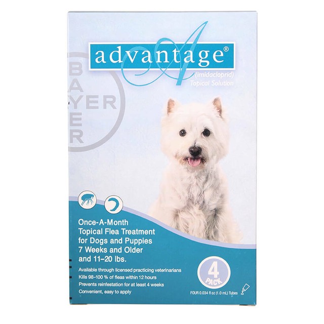 advantage flea treatment dogs