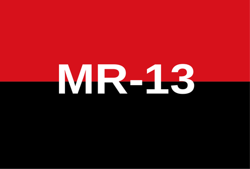 Bandiera Guatemala FAR MLN MR-13 PGT URNG San Marcos Totonicapán popoli indigeni - Foto 7 di 17