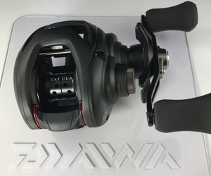 daiwa 100