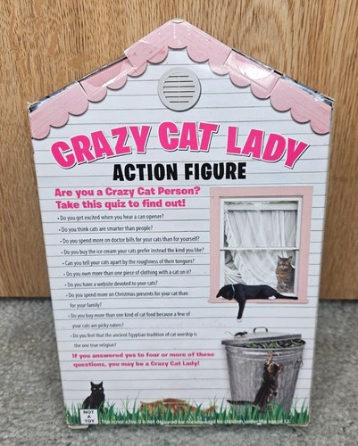 Crazy Cat Lady Action Figure With Cat New In Package - Picture 2 of 4
