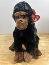 1999 Ty Beanie Buddy Congo The Gorilla Ape 11" Plush Toy Animal 