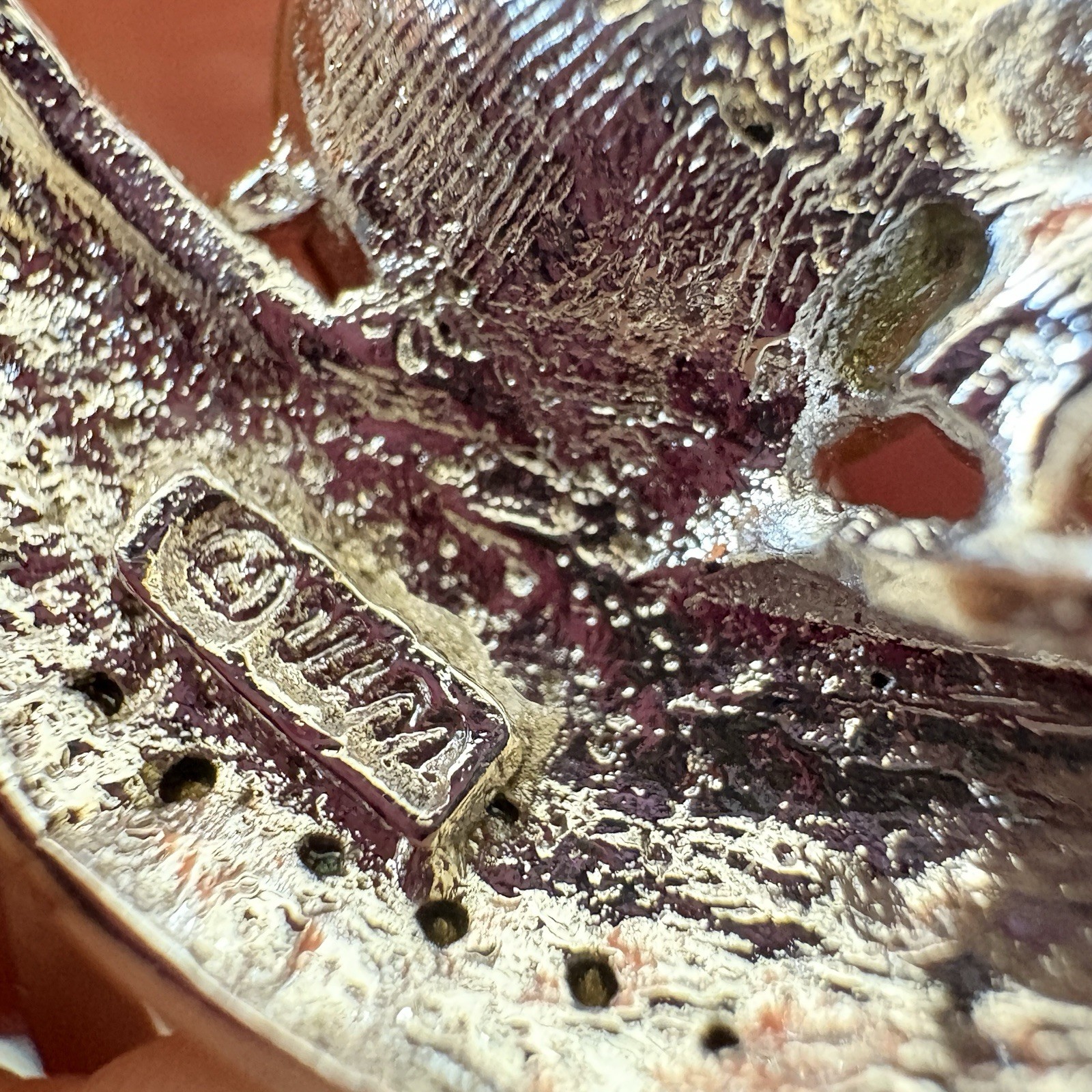 Stunning Signed Multi-Colored Aurora Borelias Sim… - image 7