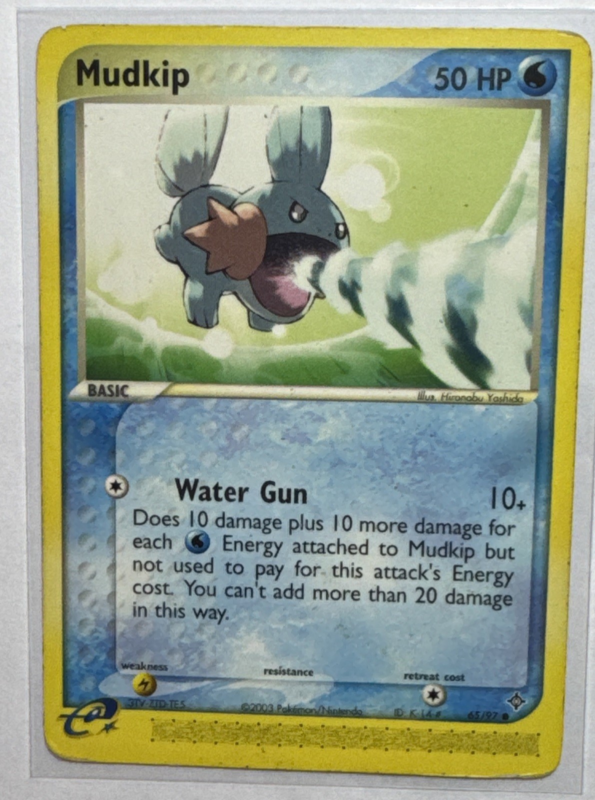 Pokemon - Mudkip 65/97 Common Ex Dragon