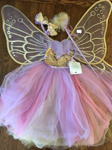 Pottery Barn Kids Butterfly Fairy Lavender 7 8 Years Costume 6148
