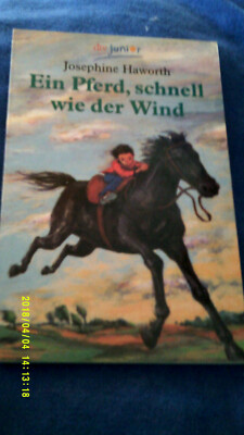 Ein Pferd, schnell wie der Wind von Josephine Haworth (dtv Junior)