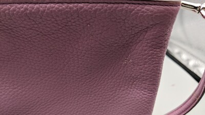 Coach Lyla Double Compartment Crossbody Purse Pebble Leather LILAC