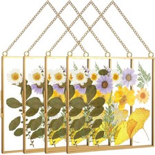 4 Pcs Glass Frame for Pressed Flower 8x8 Inch Clear Wall Hanging Photo Frame ...