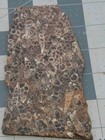 Bild 8 von 12