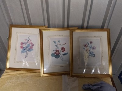 3 x Botanische Blumendrucke mit lateinischen Namen schön montiert in Goldrahmen