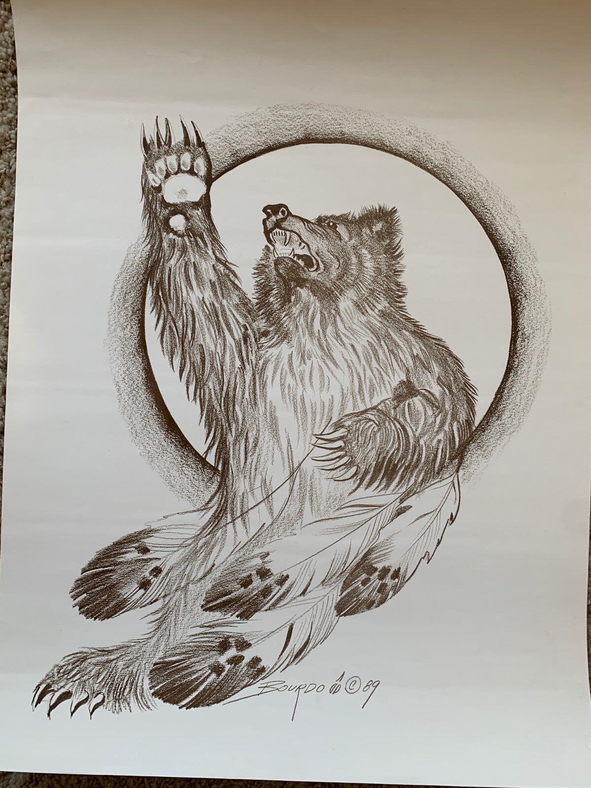 Picture 6 of 6