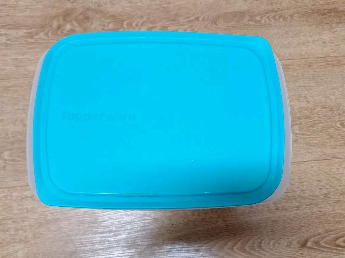 Tupperware Fridge Stack-able Deli Container With Grid Insert Teal 5 Pieces