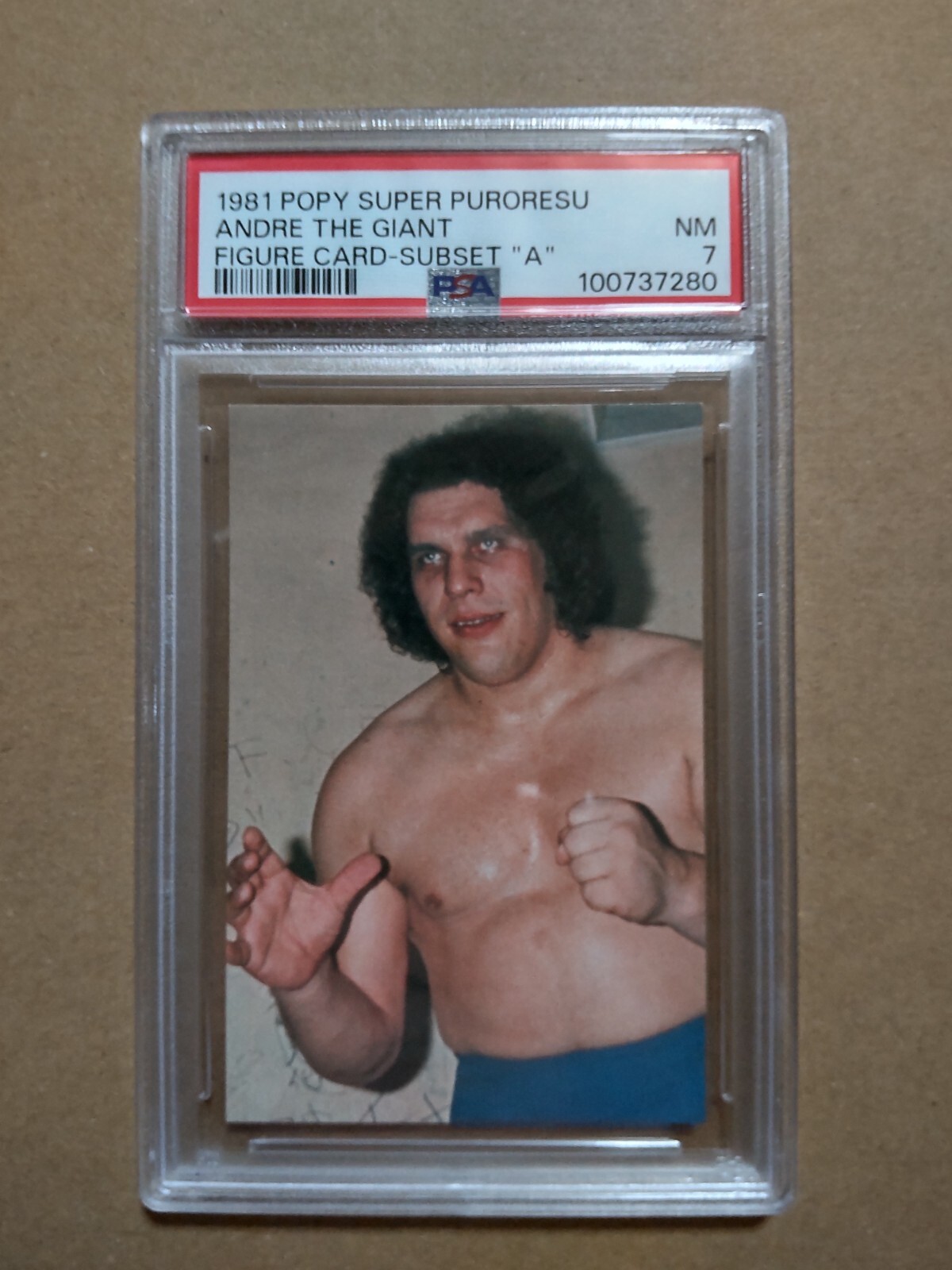 1991 Takara Andre The Giant アンドレ・ザ・ジャイアント プロレス