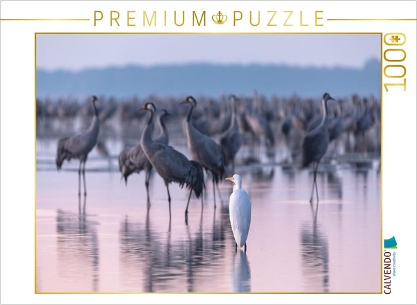 Calvendo Puzzle A Great Egret Watches The Cranes At Their Roost | 1000 Pieces, F-image