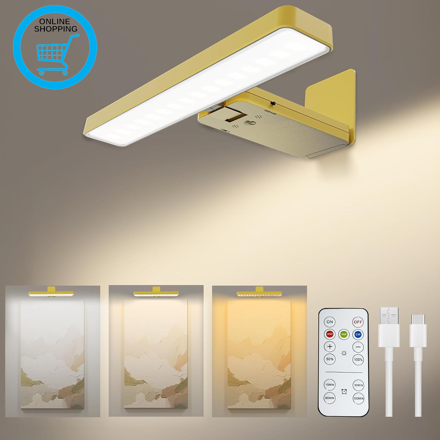 Rechargeable Picture Light with Remote, Wireless Battery Wall Light for Painting