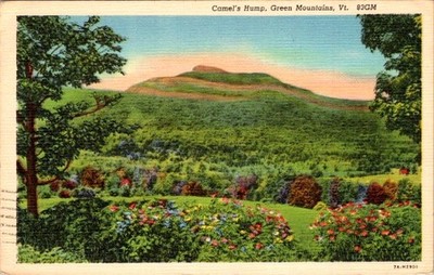 1947 Camel s Hump Vermont Green Mountains Postcard UVM College Message