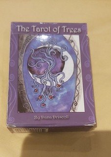 Dana Driscoll Tarot of Trees 1st Edition Tarot Card Deck with Box & Book