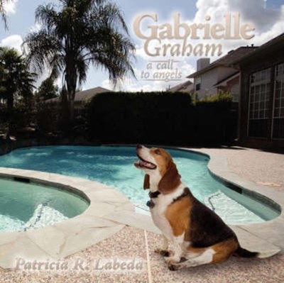 Labeda - Gabrielle Graham  A Call to Angels - New paperback or softbac - X555z