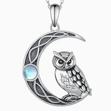 Owl & Crescent Moon with Jewel Pendant Necklace Silver Tone