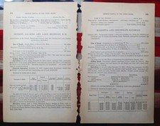 1874 Train Report DETROIT LANSING & LAKE MICHIGAN RAILROAD Howard City Belden MI