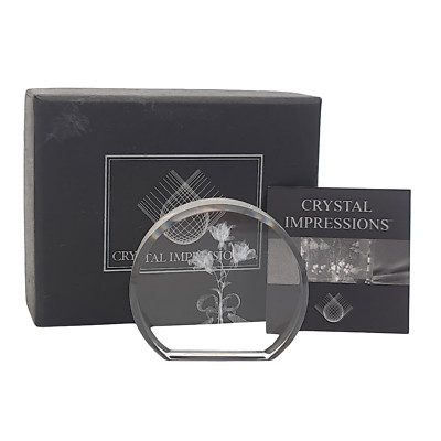 Kristall Impressionen Laser Kunst Glas kleiner Briefbeschwerer mit Box drei Rosen