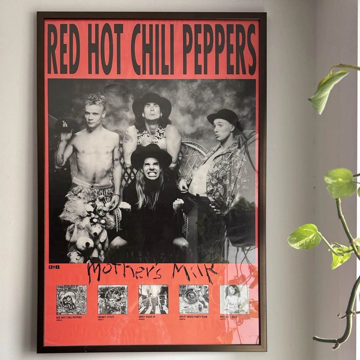 Original Red Hot Chili Peppers Memorabilia for sale | eBay