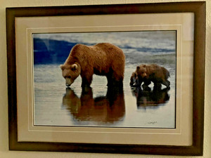Tom  Mangelsen "REFLECTIONS OF THE NORTH" Signed (20 x 30 Mted/Frmd 30x40) COA