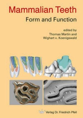 Mammalian Teeth - Form and Function Thomas Martin