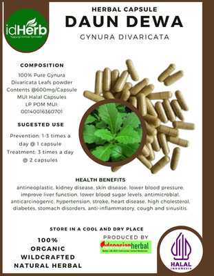 [idHerb] 100-800 Kapseln Daun Dewa Purple Passion Gynura Divaricata WildCrafted