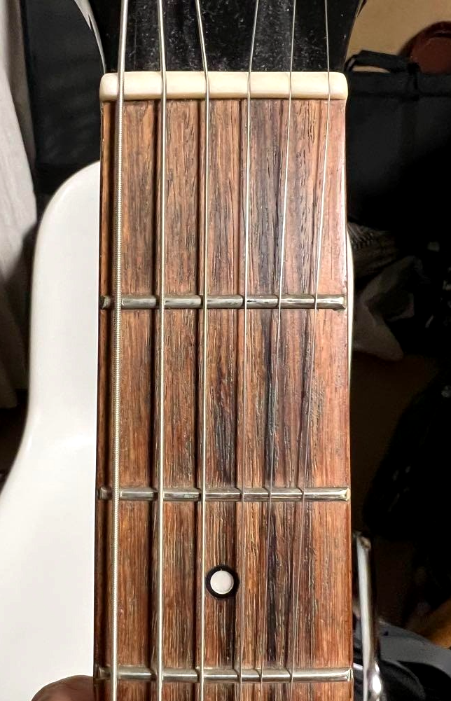 EDWARDS E-K-130VP DIR EN GREY Kaoru Model Black JAPANESE ZOMBIE