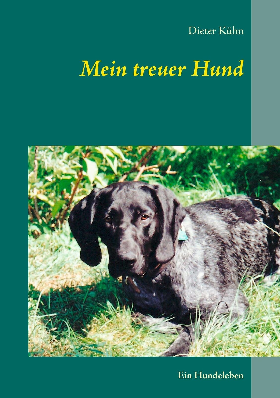 Thumbnail - Mein Treuer Hund | Buch | 9783738656992