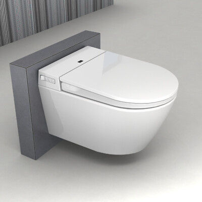  Dusch WC Gesäßdusche Sitzheizung & Sterilisator Spülrandloses BERNSTEIN 540 PRO
