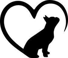 adesivo sticker vetri auto moto cane bulldog francese Bouledogue molosso bullo