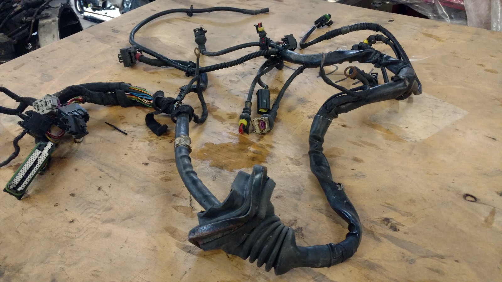 LAMBORGHINI MURCIELAGO LP640 E GEAR TRANSMISSION WIRING HARNESS OEM 