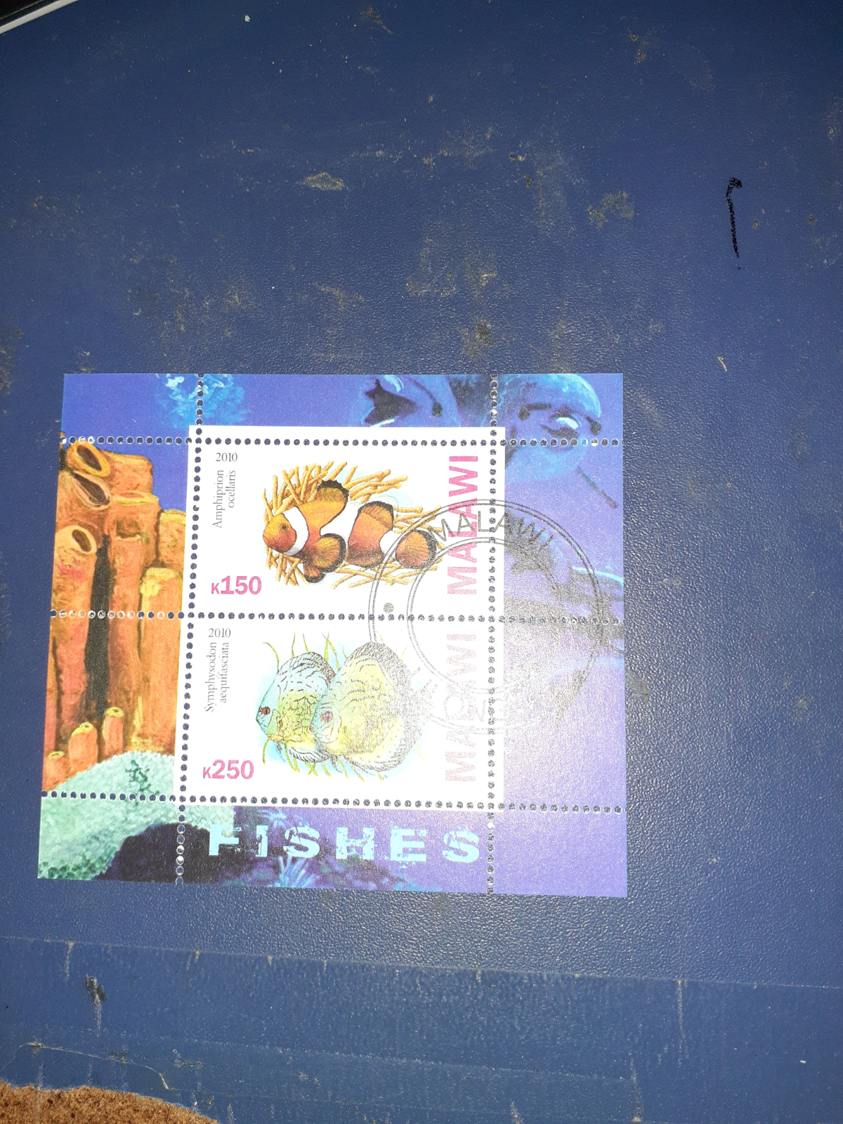 Bild 1 von 1