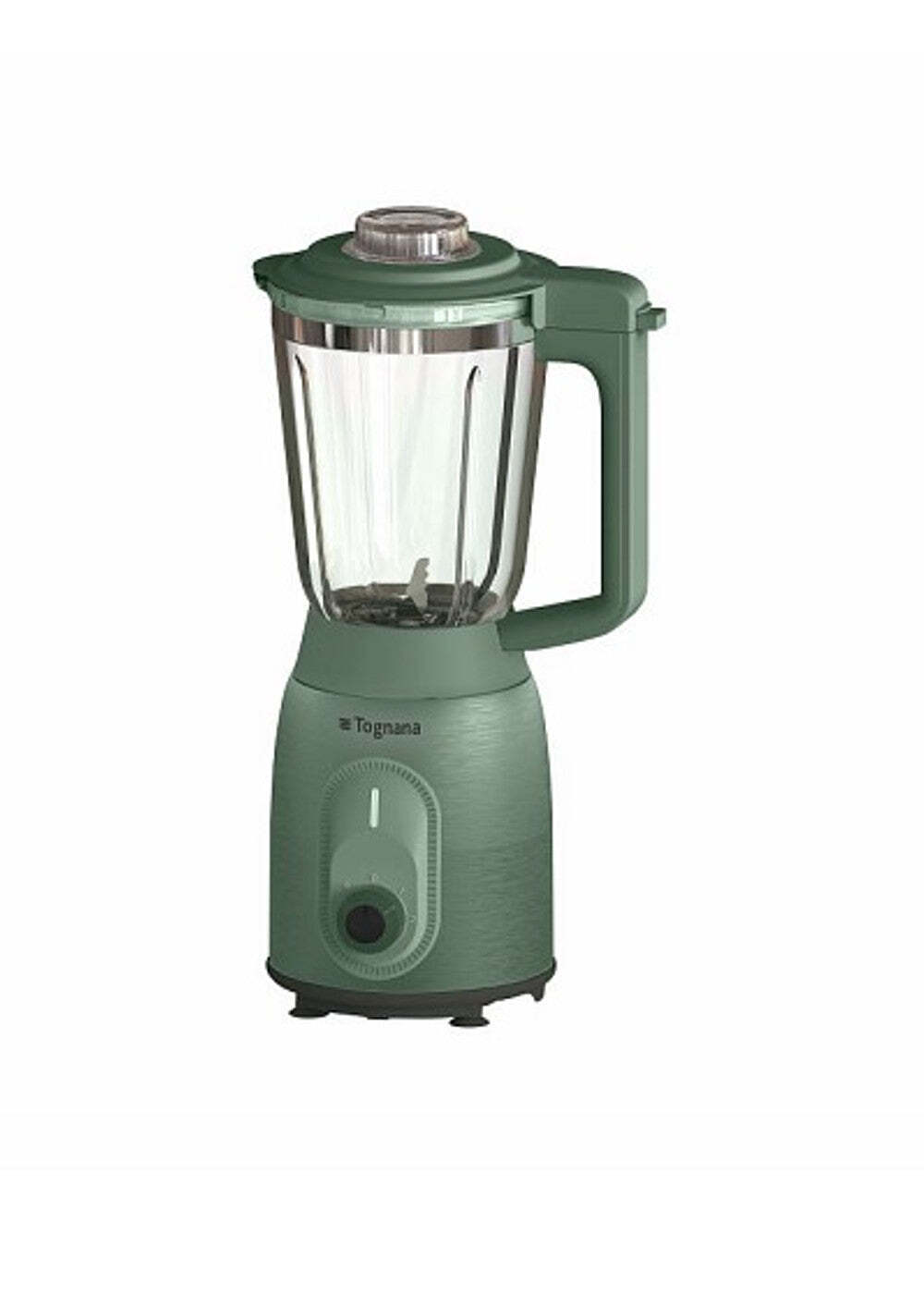 Tognana Iridea Verde Salvia Frullatore 800cc: Design Retro e Potenza