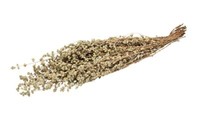Nadeco Oregano Getrocknet Im Bund Ca. 50 Cm Getrocknete KräUter Boho Deko