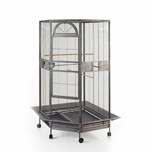 For Cockatiel Parakeet Budgies Parrot New