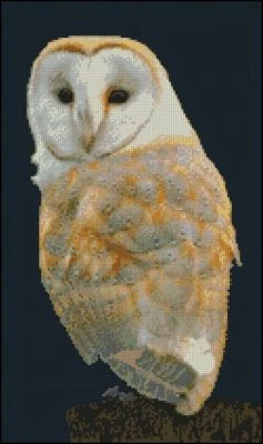 SUSANMOWER Barn Owl Counted Cross Stitch Kit 15" x 8.75" FREE P&P