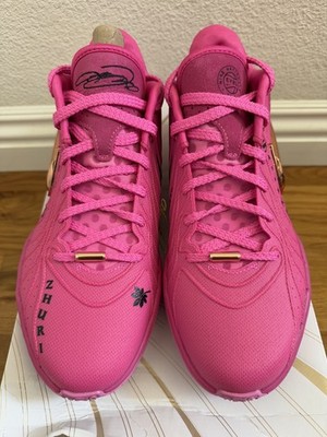 Size 10.5 - Nike LeBron 21 Next Nature EYBL Nationals for sale