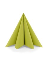 Serviette Kiwi Aus Linclass® Airlaid 40 X 40 Cm, 50 StüCk