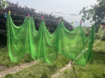 Hellgrüner Sari, rosa grün und weiß Blumenstickerei.  Chiffon Art Stoff