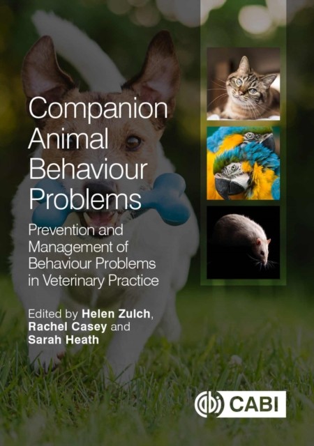 Companion Animal Behaviour Problems by B01 (Paperback Book)