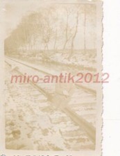 Photo, female. RAD 9/84, Neudorf-Platendorf, Maiden walking3 1943; 5026-332