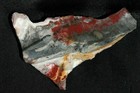 Bild 1 von 12