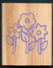 DAISY FLOWER LEAF PLANTS Botanical GARDEN Card NEW wood mount HOBBY RUBBER STAMP