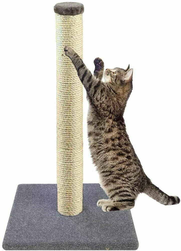 Cat scratch clearance pole
