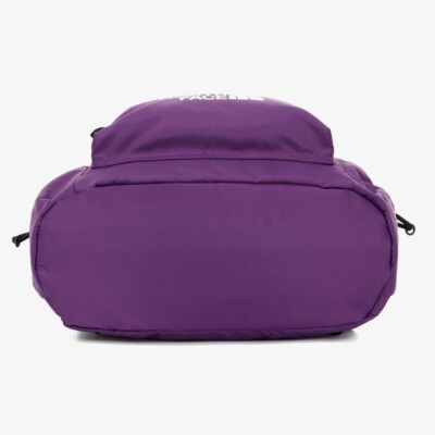 New THE NORTH FACE BONNEY MULTI PACK BACKPACK VIOLET