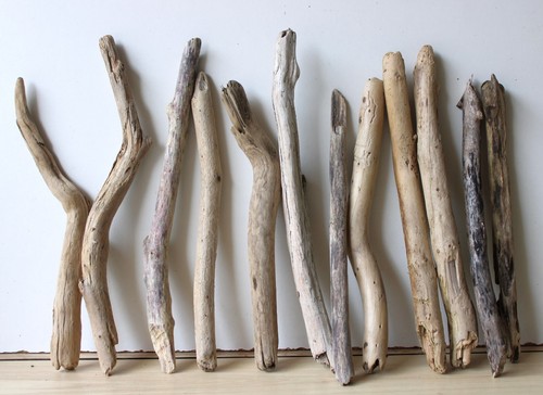 Treibholz Schwemmholz Driftwood 12 Äste Garderobe Dekoration 35-41 cm