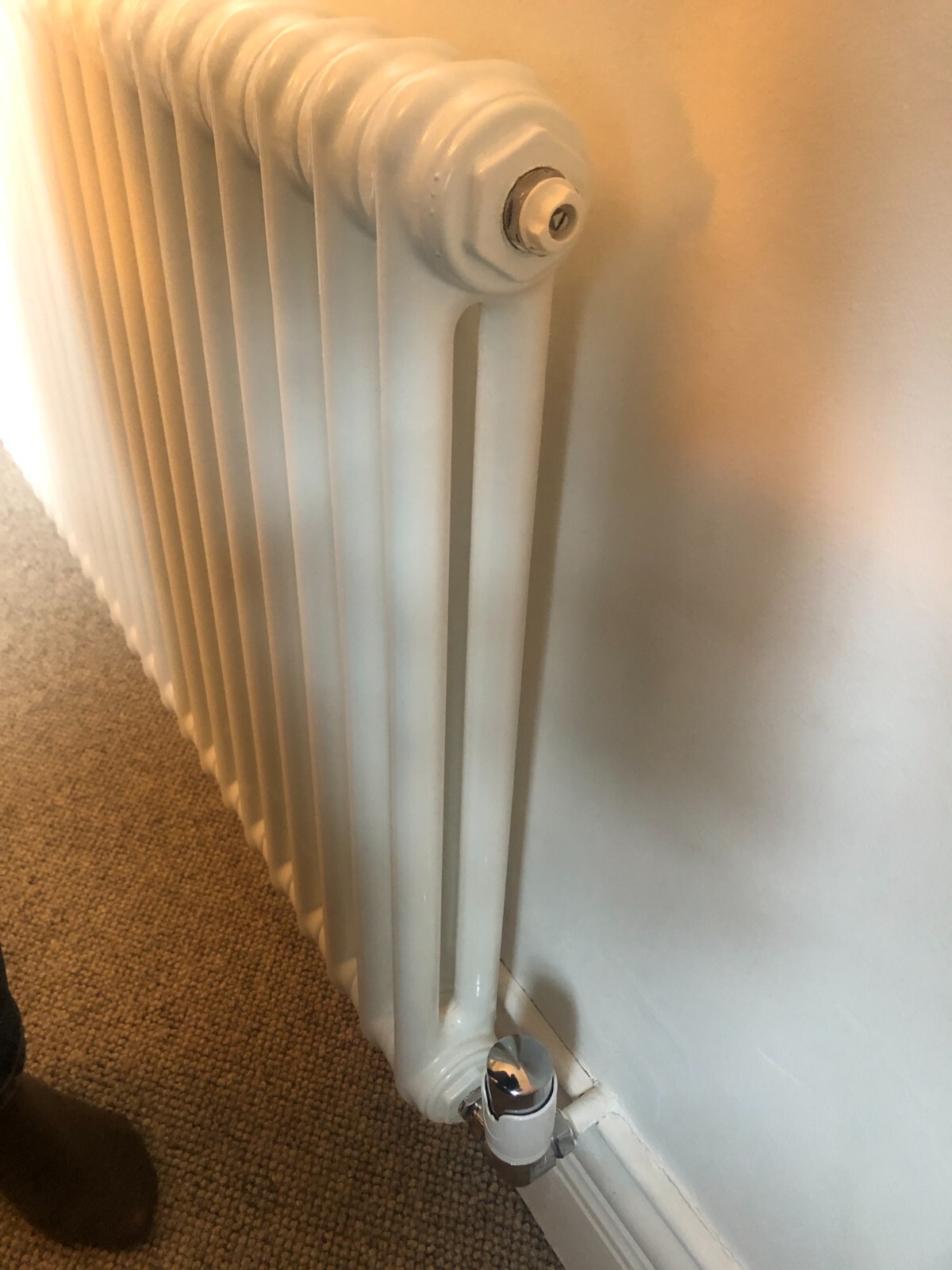 Castrads Florence stainless steel 2 column radiator with wall ties and