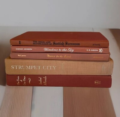 Vintage  Book Stack For Room Decor 5 Books Burnt Orange, Rust, & Peach
